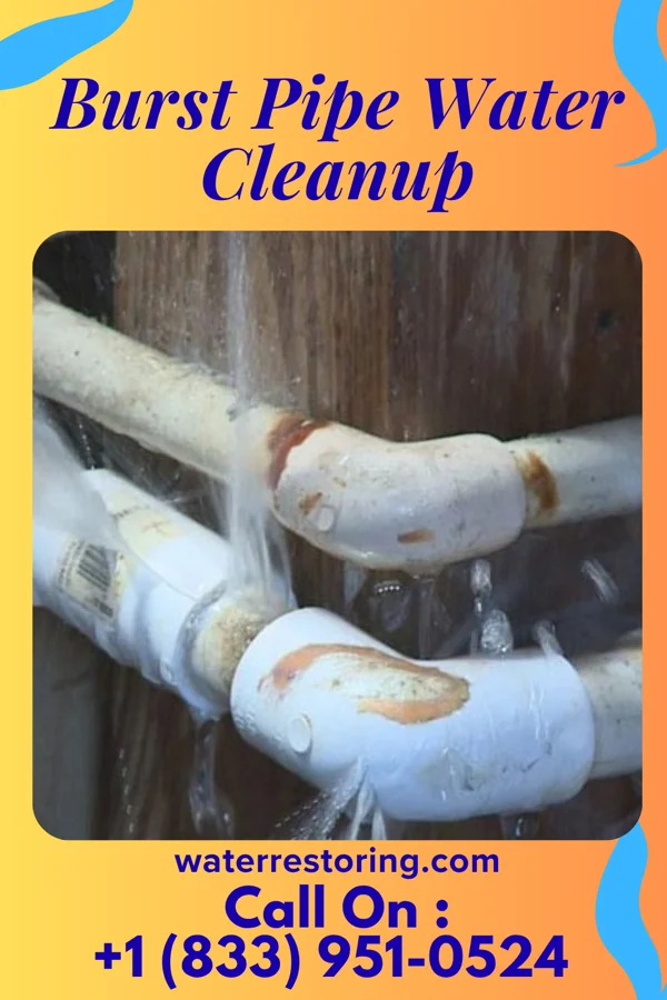 Burst Pipe Water Cleanup in Mora, MN